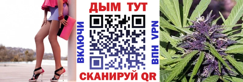 Бошки Шишки планчик  Лермонтов 